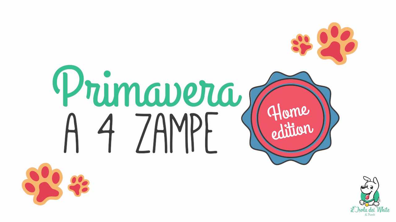 PRIMAVERA A 4 ZAMPE 2020 – Home Edition