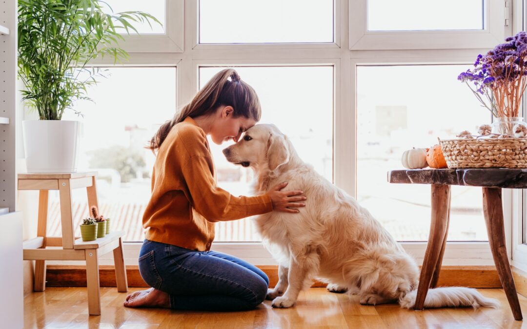 Come cominciare l’anno al meglio con il tuo animale domestico